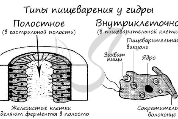 Как зайти в кракен с андроида