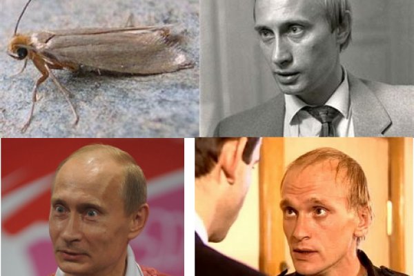 Кракен даркнет krawebes