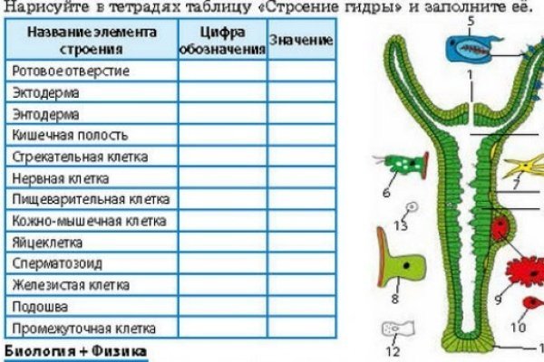 Кракен сайт kr2web in зарегистрироваться